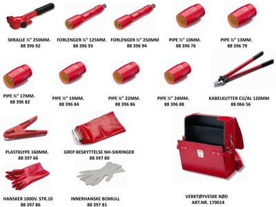 1000V Basic equipment TOOL, REDT
