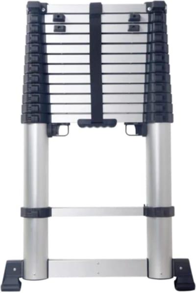 Telescopic ladder (8802589)