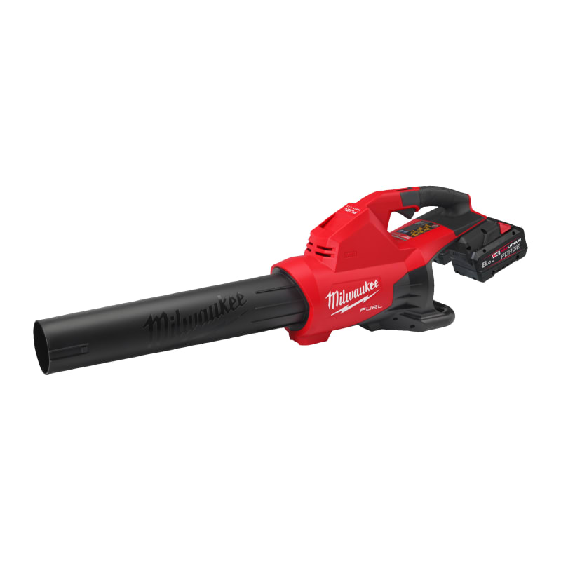 Blueser M18 F2BL-802 (4933499229)