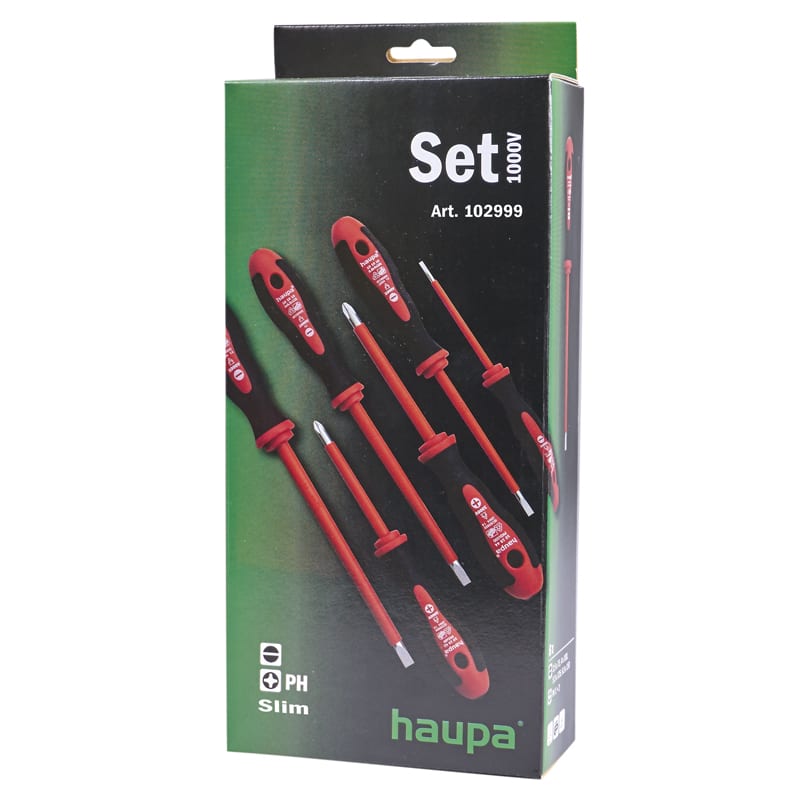 SKRUTR.SET1000V SLIM6XFLAT/PH (102999)