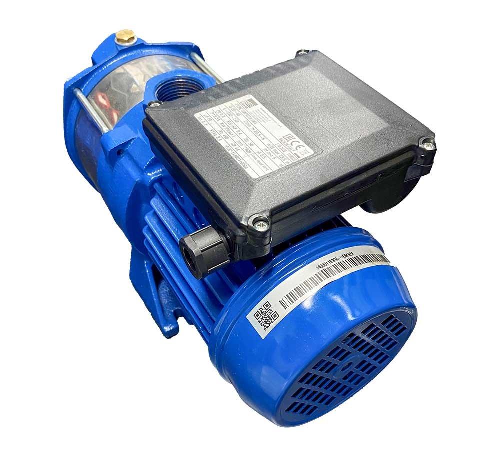 Clint Ebara Circulation pump - DWC-V 300/1.5