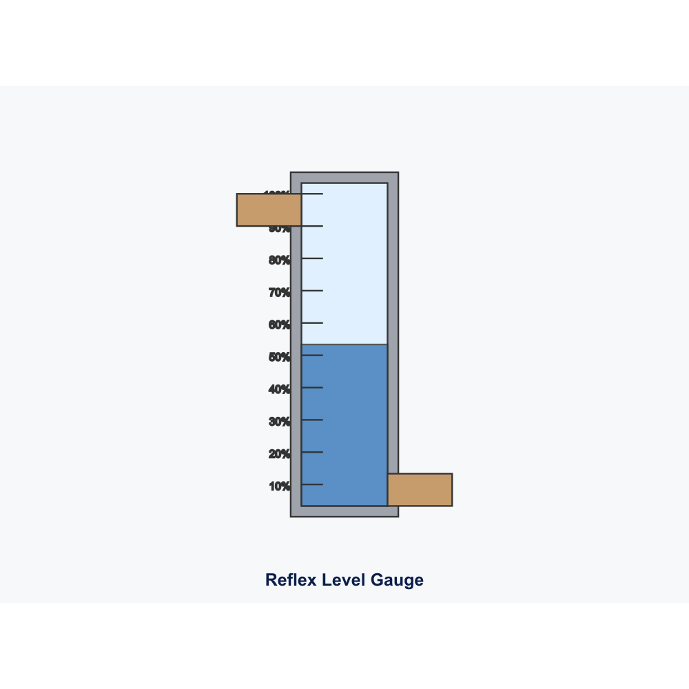 Klinger Reflex Level Gauge