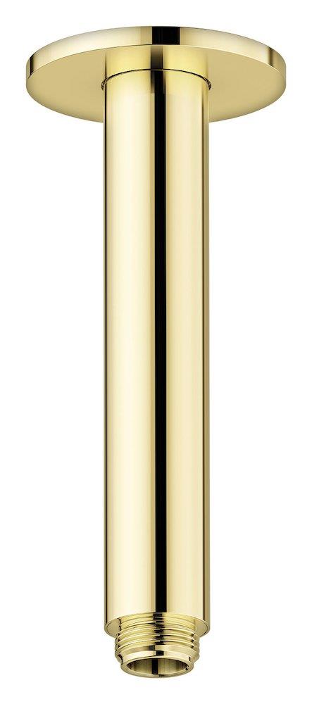 Damixa Silhouet Wall-Mounted Shower Arm - Brass, Polished, Overhead