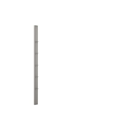 Dansani Match Wall Profile with shelves - 1975mm, 33mm, 100mm 10557568