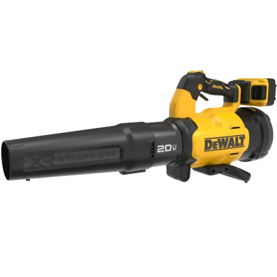 20V MAX* XR® Blower Kit