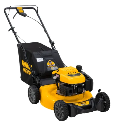 21-IN. 163CC Rwd Self-Propelled 2-IN-1 Lawn Mower