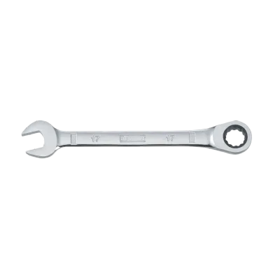 Ratcheting Combination Wrench (17 Mm)