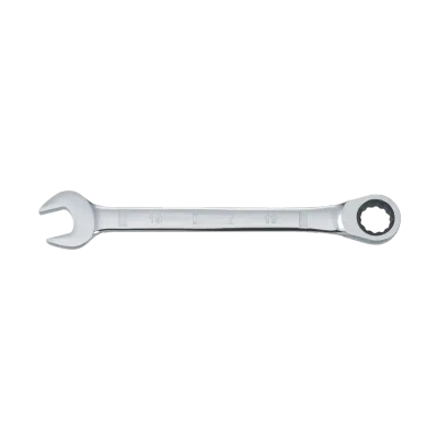 Ratcheting Combination Wrench (19 Mm)