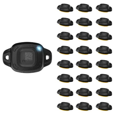 DEWALT Tool Connect Tag (25 Pk) DCE045-25