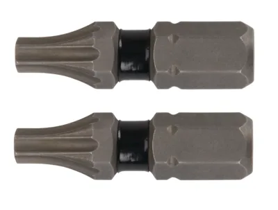 Tough Grip 1-IN. T20 Torx Screwdriving Bit (2-Pack)