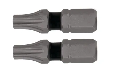 Tough Grip 1-IN. T25 Torx Screwdriving Bit (2-Pack)