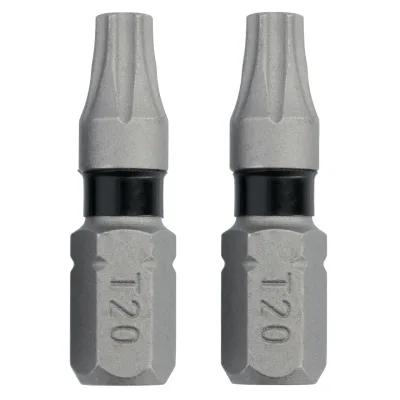 Toughgrip 1-IN. T20 Torx Screwdriving Bit (2-Pack)