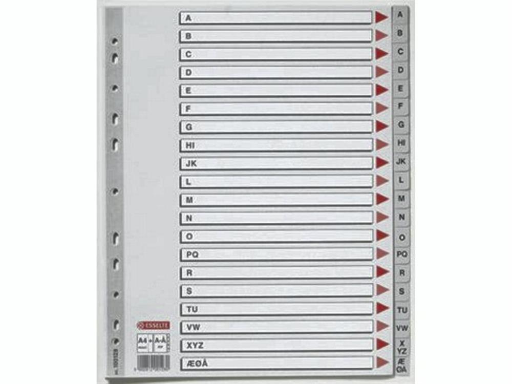 Esselte Register - 1PCS, A4, grey