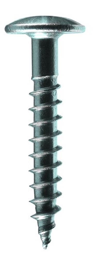 Eurotec Facade Screws A2 - 32mm, Bright, TX 20, 4,8mm, 250PCS