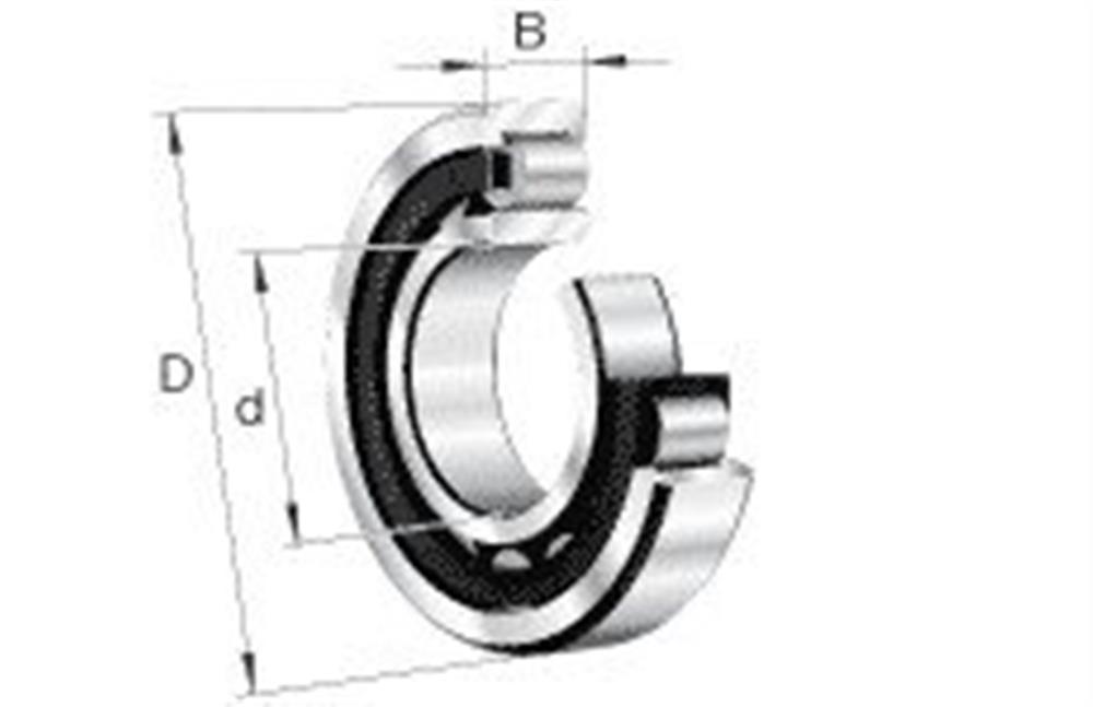 FAG 20205 Cylindrical Roller Bearing TVP