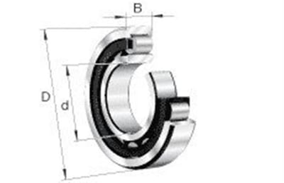 FAG 20205 Cylindrical Roller Bearing TVP