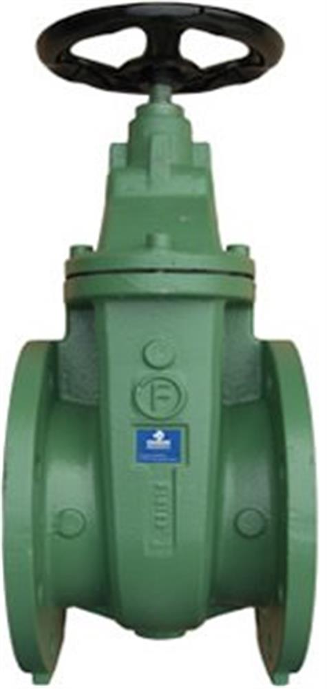 Flange Gate Valve GG25/304/Viton - 200, 10bar