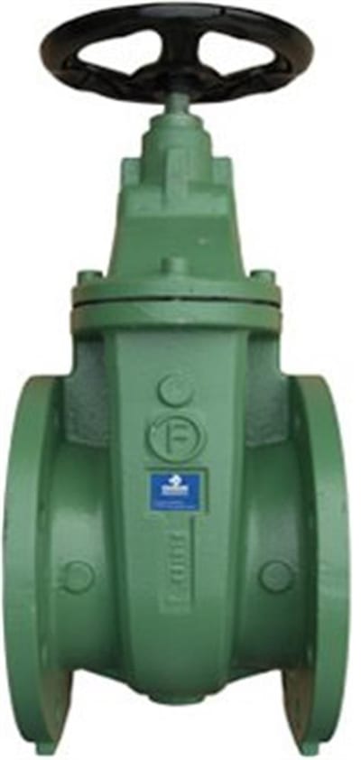 Flange Gate Valve GG25/304/Viton - 65, 10bar