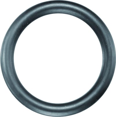 Format 6227 Power Rubber Ring - 1", 54