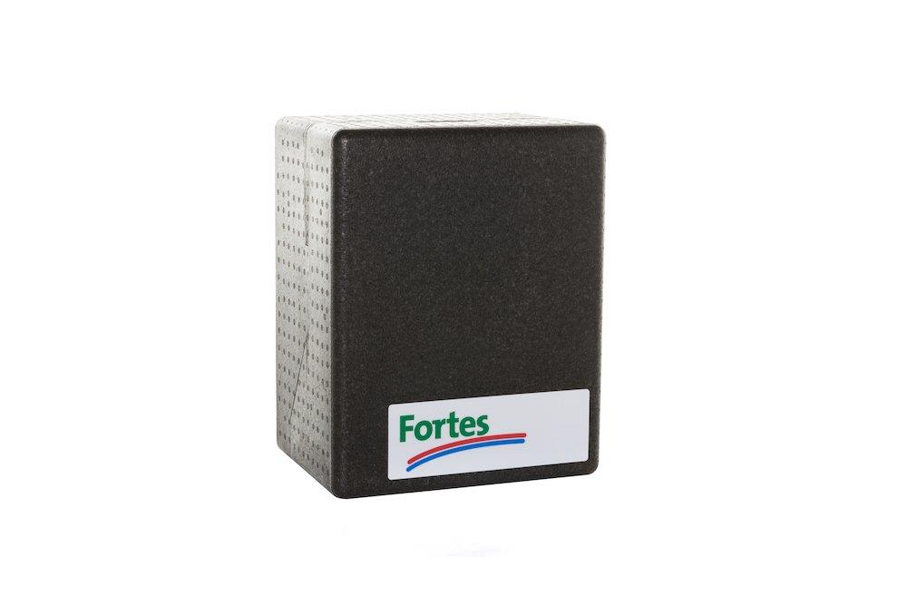 Hoval Fortes HomeHeat VV-2 Water heater - 45kW, No, Insulation