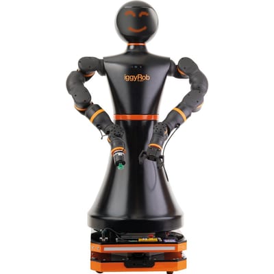 iggyRob: humanoid robot