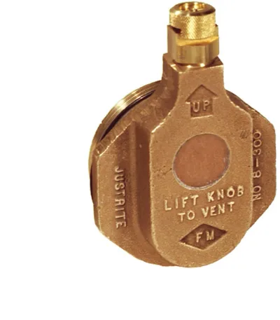 Brass Horizontal drum Vent for Petroleum Based Applications, 2 inch Bung