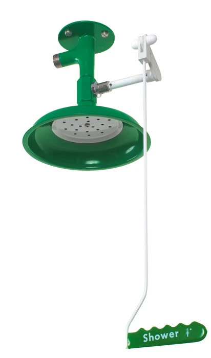 Ceiling Mount, Laboratory Hughes Drench Shower, Stainless Steel Pipe - L23GSV