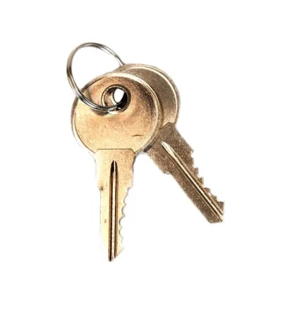 Paddle Handle Replacement Keys for Safety Cabinets, Sure-Grip® EX, Set of 2, Lock No. CH545
