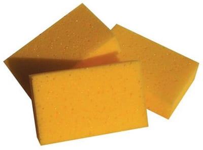 Mason's sponge