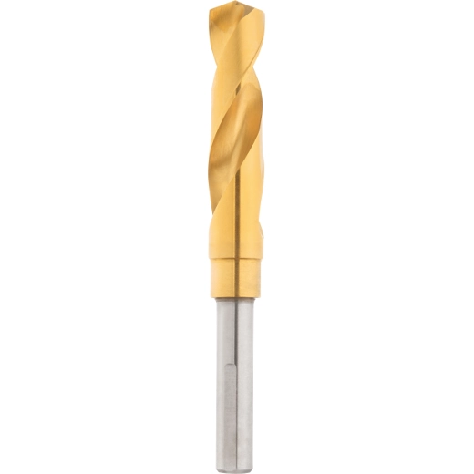 3/4" Titanium Silver and Deming Bit