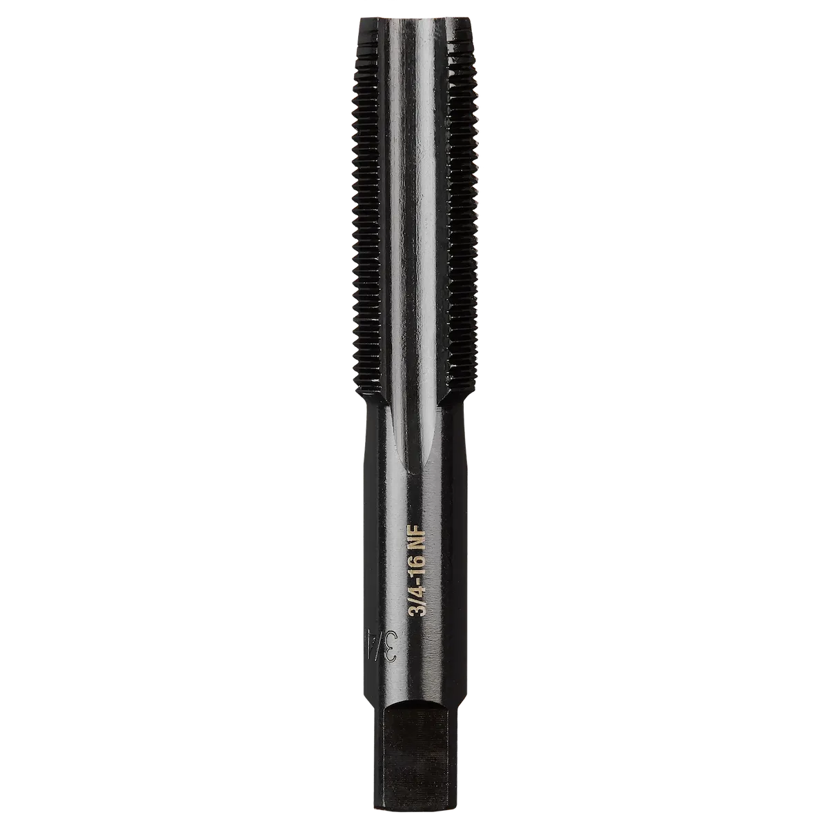 3/4"-16 NF Straight Flute Plug Tap
