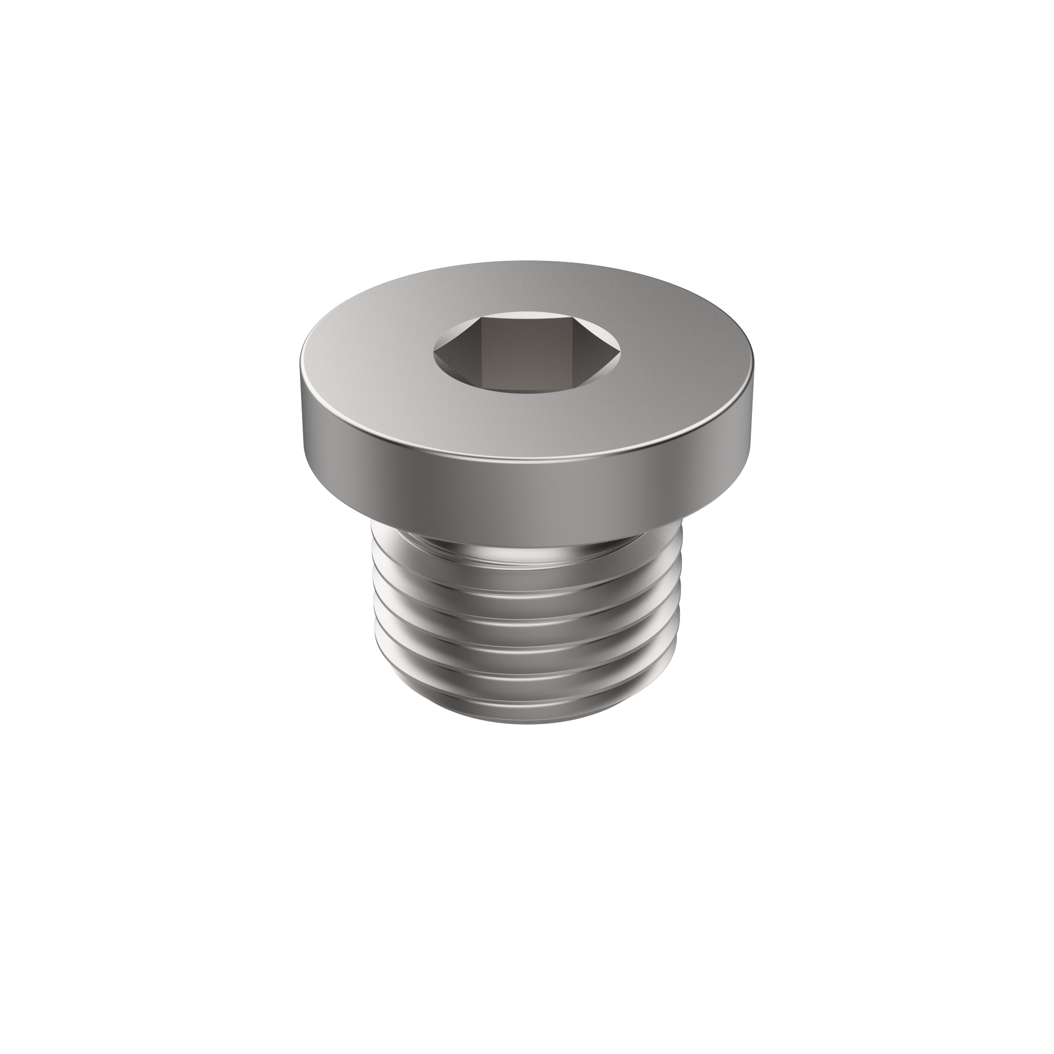 DIN 908 Hexagon Socket Screw Plug, Steel, G 1", Plain (9081)