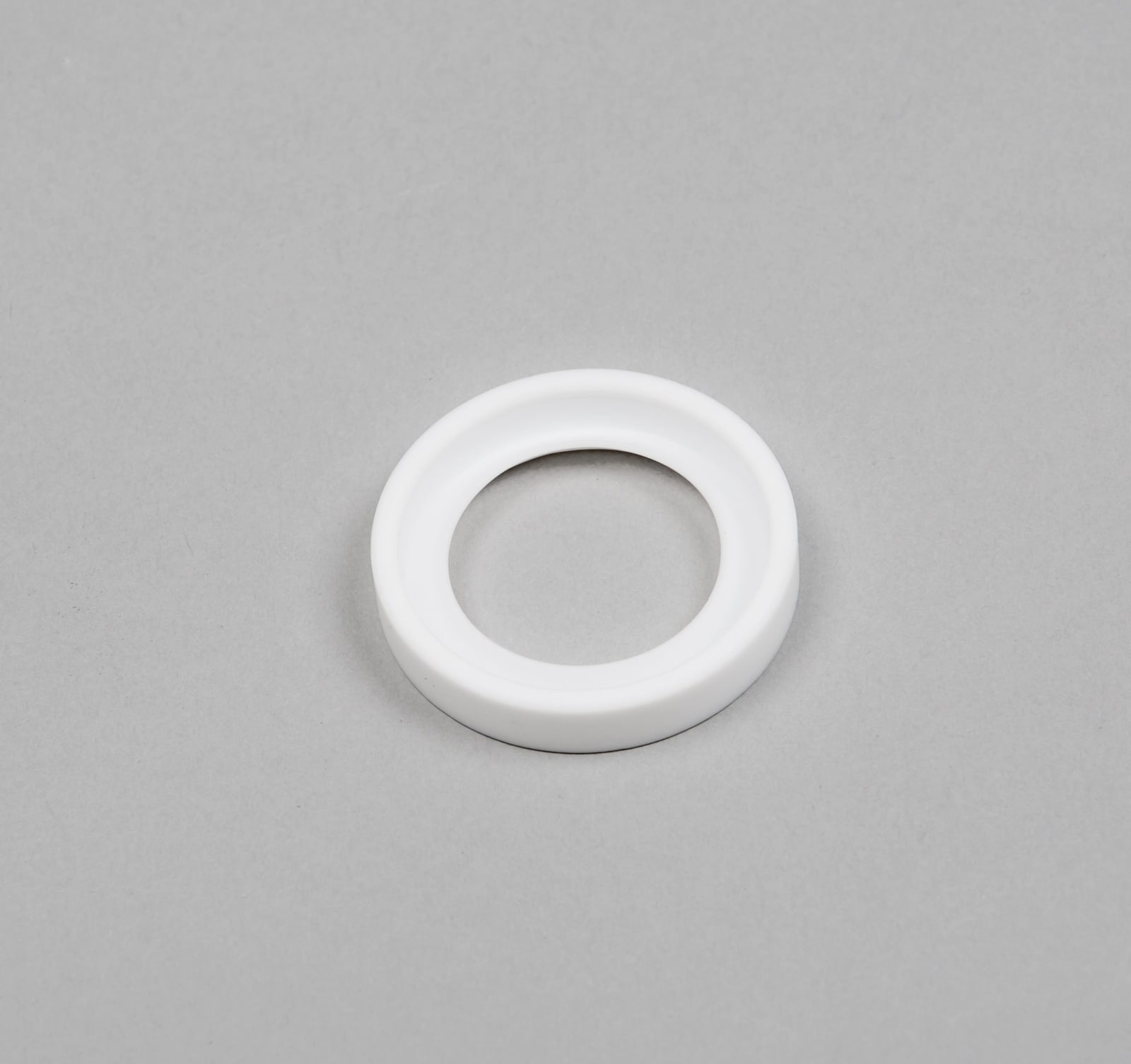 ProMinent Wiper Ring for UVR