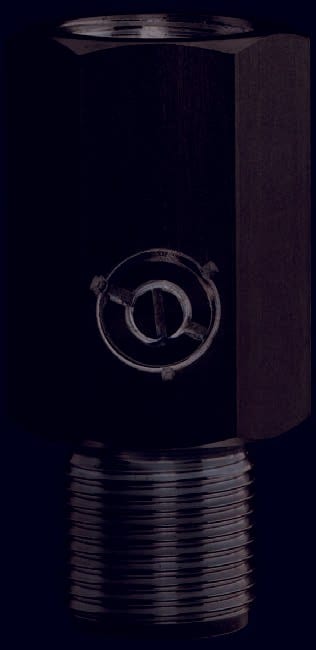 Snubber SS 1/4 NPT Liquid