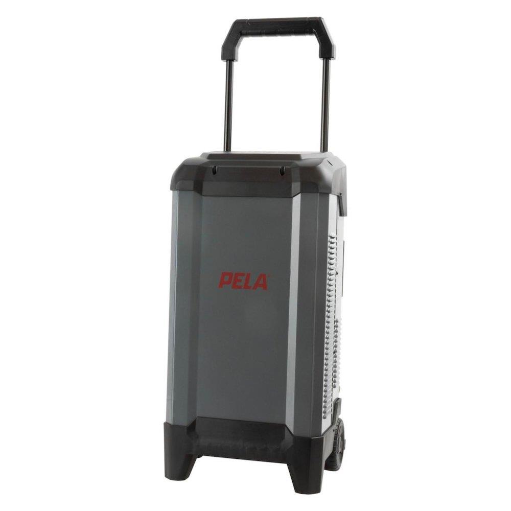 Pela 12V/24V 250A Battery Charger - 24V