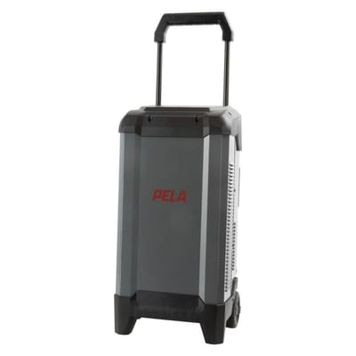 Pela 12V/24V 250A Battery Charger - 24V