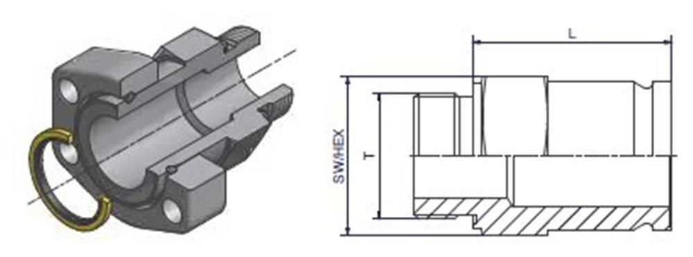 R-624MTFRCF Complete Transition BSPP male steel chromated - 1 1/2", 1 1/2", 6000psi