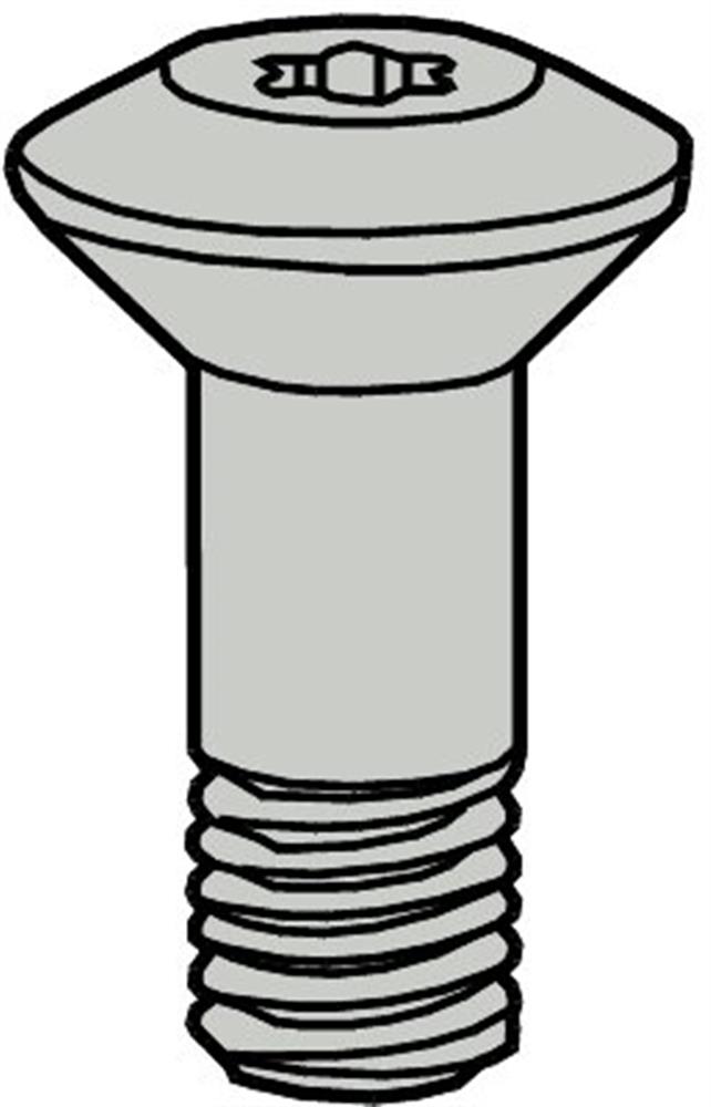 Seco WS2325-T25P Screw