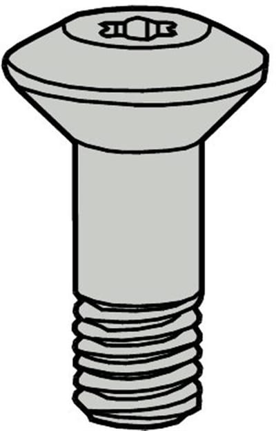 Seco WS2325-T25P Screw