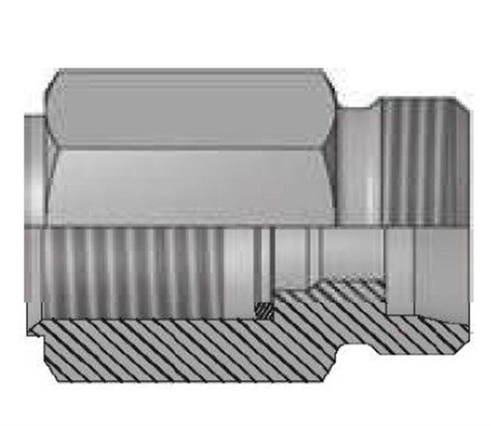 Vitillo AME Manometer Fitting complete steel zinc/nickel BSPP light - 8mm, 1/4", 315bar