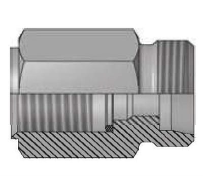 Vitillo AME Manometer Fitting complete steel zinc/nickel BSPP light - 8mm, 1/4", 315bar