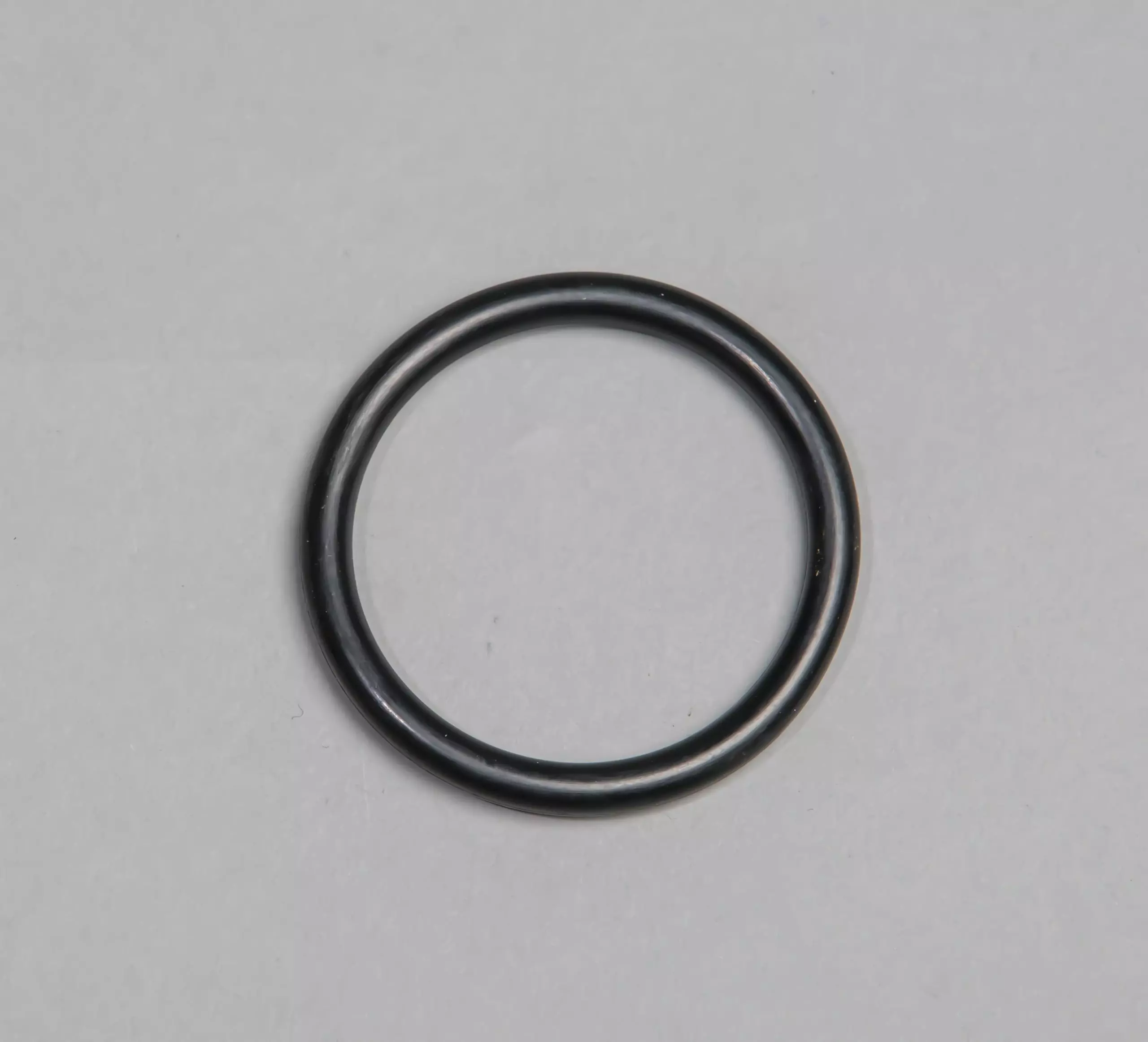 Wedeco Quartz Sleeve O-Ring, NLR1579W