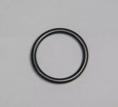 Wedeco Quartz Sleeve O-Ring, NLR1579W