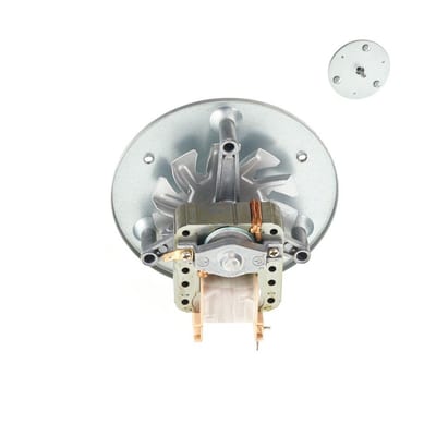 Woody Flue gas extractor motor